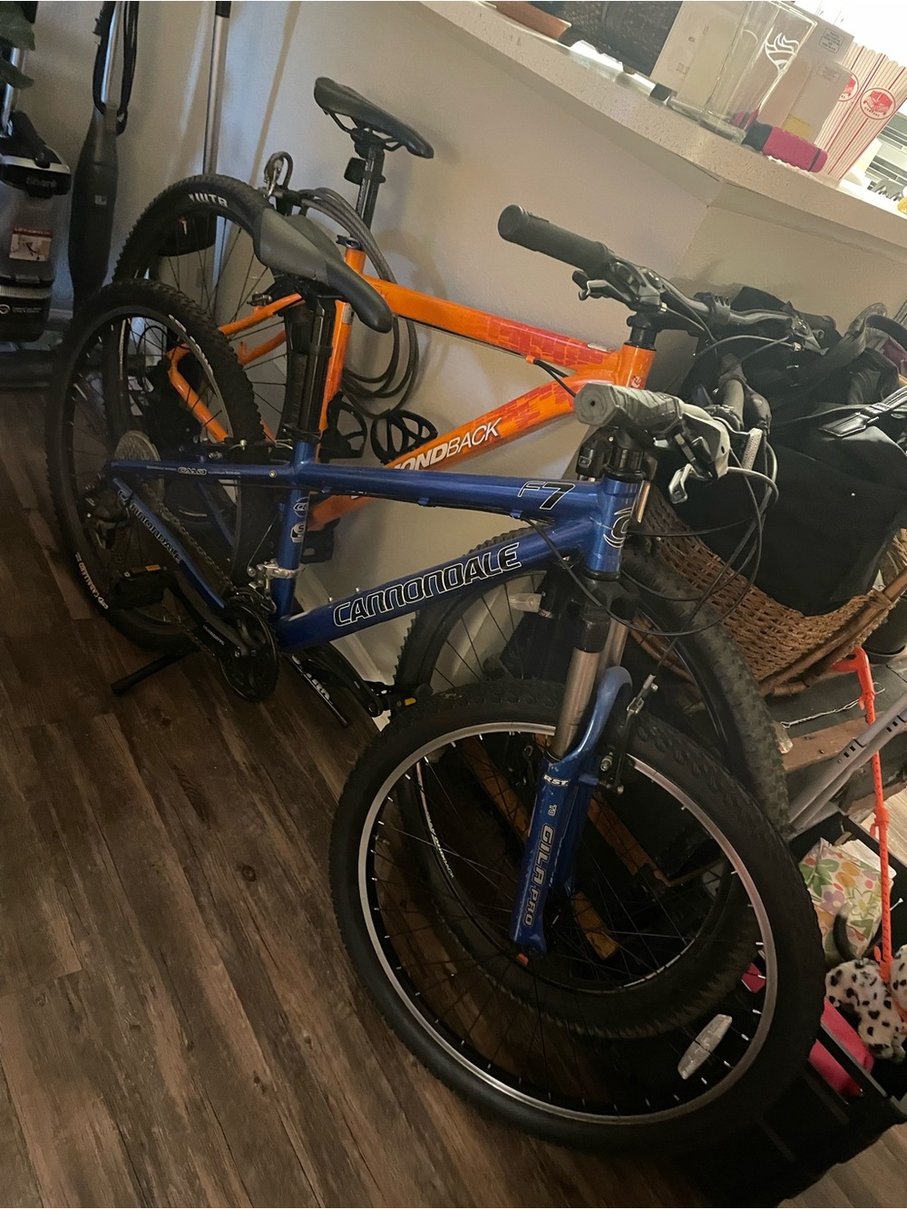 Mountain Bike - Blue